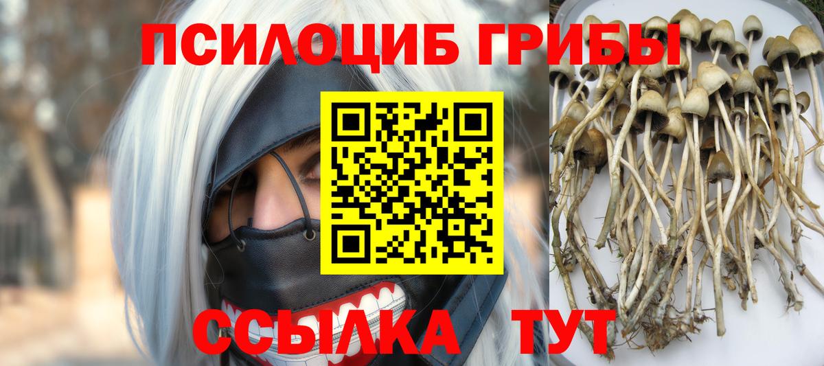 Галлюциногенные грибы прущие грибы  Вход с VPN  Стрежевой 